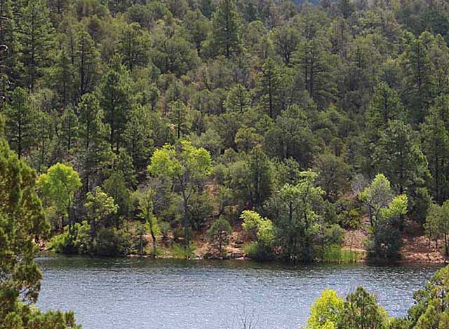 Saturday: Fee Free Day in the Prescott National Forest