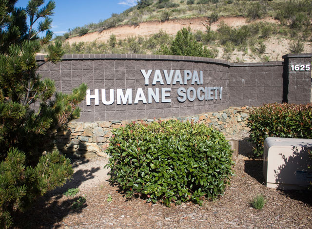 Yavapai Humane Society, PV Animal Control Agree on Three Year Partnership