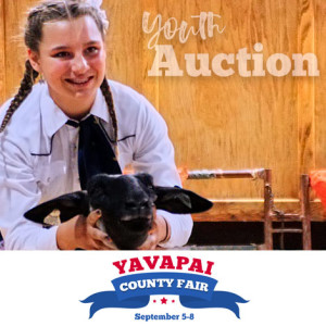 Yavapai County Fair Happenings: All About the Youth Auction