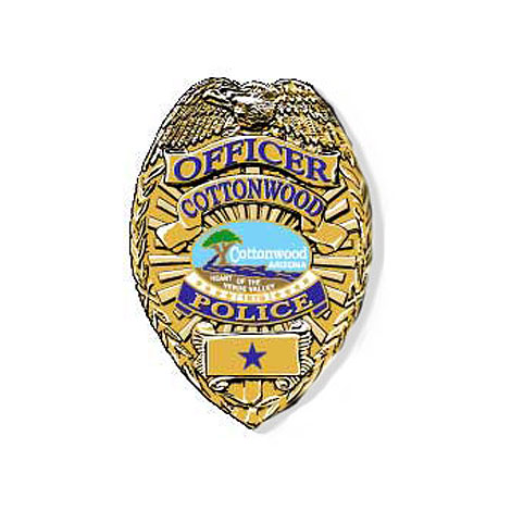 Arrest for Domestic Abuse