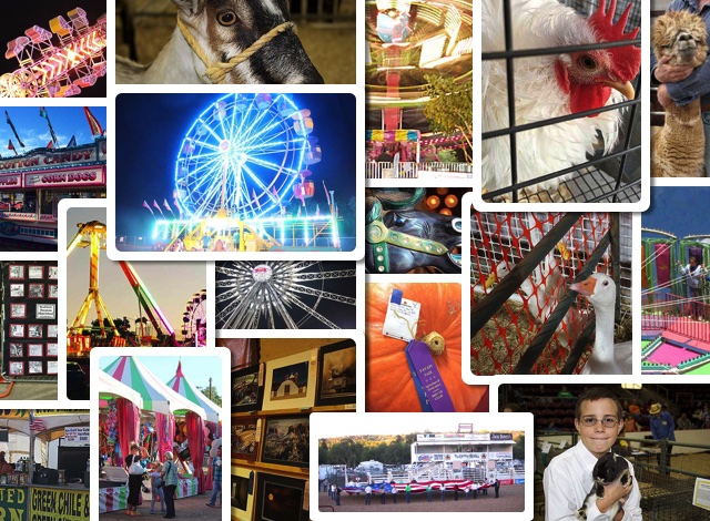 Learn All About the County Fair