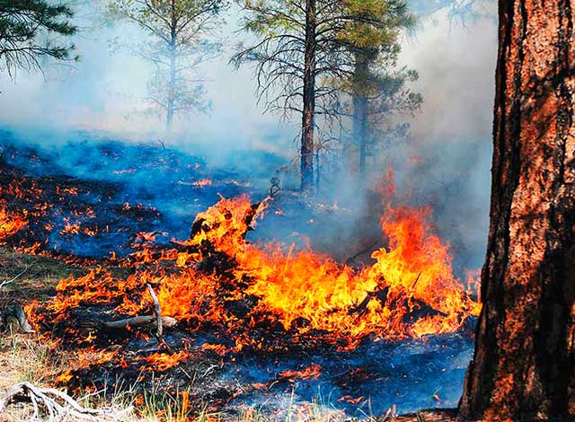Wildfire season expected to be grim.