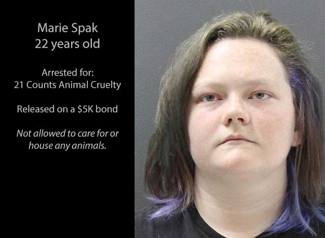 Suspect was arrested on 21 charges of animal cruelty