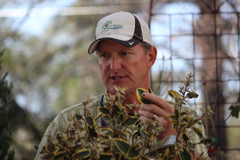 Ken Lain, The Mountain Gardener: Groundcover Sure to Please and Cover