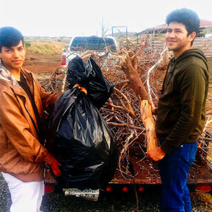 Volunteer Students from Mayer Help Cleanup Senior's Yard
