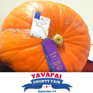 Yavapai County Fair Happenings: Plan To Exhibit Now