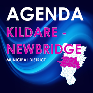 Agenda - Kildare Newbridge Municipal District - 17th July 2024