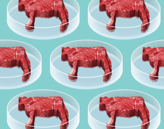 What is lab meat, cellular agriculture, clean meat? Is this the future of eating? 