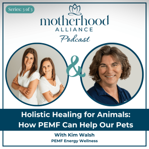 Holistic Healing for Animals: How PEMF Can Help Our Pets w/ Kim Walsh | PEMF Energy Wellness
