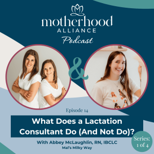 What Does a Lactation Consultant Do (And Not Do)