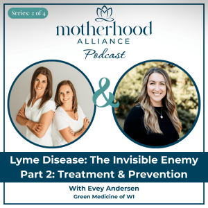 Lyme Disease: The Invisible Enemy - Treatment & Prevention w/ Evey Andersen | Green Medicine of WI