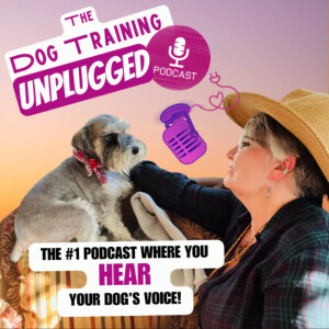 Let’s DO better series: Your Soul Dog Is A Jumping Bundle Of Excitement & Joy. How do you stop this behavior?