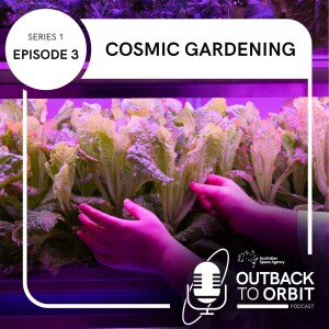 Cosmic Gardening