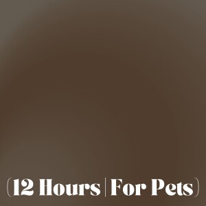 Deep Brown Noise | Sleep Sound For Pets (12 Hours)