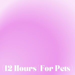 Pink Noise | Sleep Sound For Pets (12 Hours)