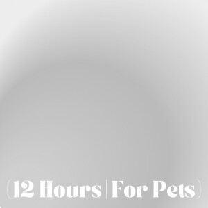 White Noise | Sleep Sound For Pets (12 Hours)