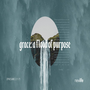 A Flood of Purpose