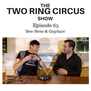 The TRC Show - Episode 065 - ’Bee-ness & Gaydars OR Deep Down Inside Where I Live'