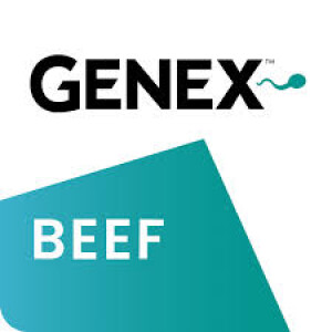 Episode 47 - Bull Stud Series Episode 5 - Genex