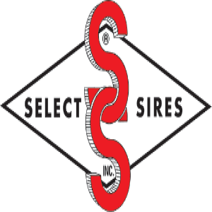 Episode 43 - Bull Stud Series Episode 1 - Select Sires