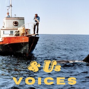 & Us Voices | Jaws (1975): Most Heart-Stopping Scene