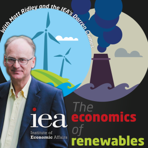 The economics of renewables