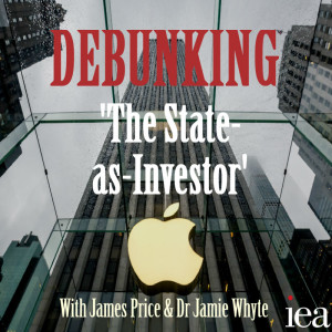 Debunking ’The ’State-as-Investor’ 