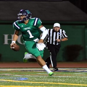 Justin Fields 2017 Highlight Reel