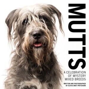 MUTTS: A Celebration of Mystery Mixed Breeds