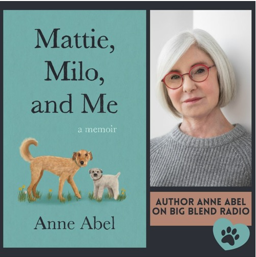 The Pet Connection