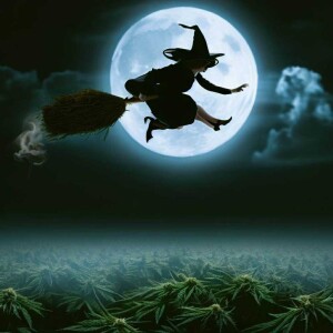Aug 2, 2023 20:43 first time doing drugs. two special guests.