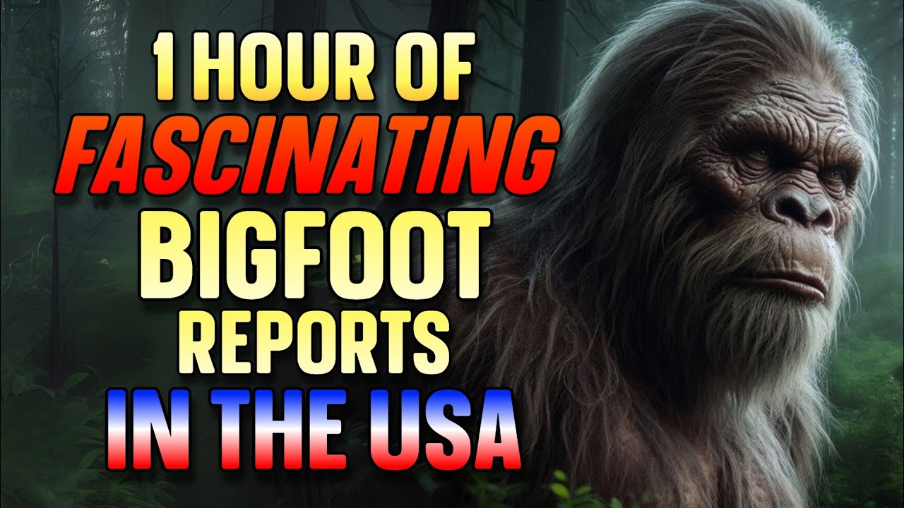 BIGFOOT CASE FILES