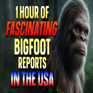 1 HOUR OF FASCINATING BIGFOOT REPORTS IN THE USA
