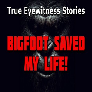 BIGFOOT SAVED MY LIFE! True Eyewitness Stories
