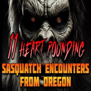 11 HEART POUNDING SASQUATCH ENCOUNTERS FROM OREGON