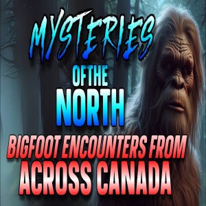 MYSTERIES OF THE NORTH: BIGFOOT ENCOUNTERS FROM ACROSS CANADA