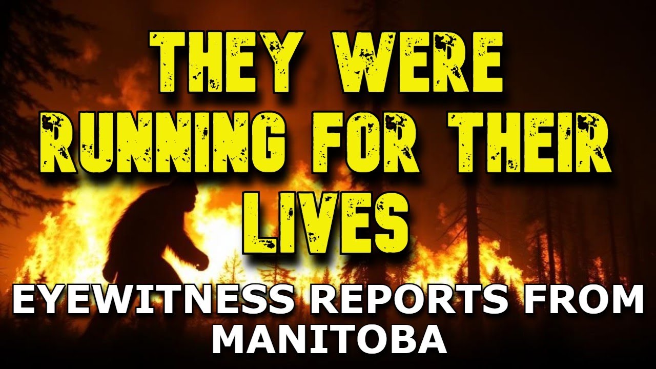 BIGFOOT CASE FILES
