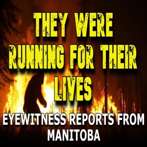 THEY WERE RUNNING FOR THEIR LIVES - EYEWITNESS REPORTS FROM MANITOBA