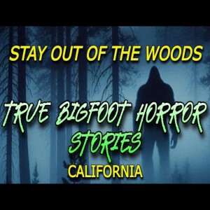 STAY OUT OF THE WOODS - TRUE BIGFOOT HORROR STORIES FROM CALIFORNIA