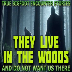 THEY LIVE IN THE WOODS AND DO NOT WANT US THERE - TRUE BIGFOOT ENCOUNTER STORIES