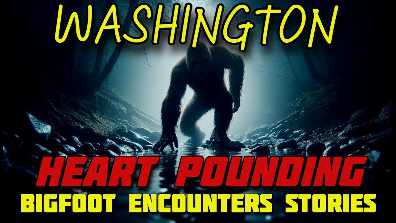 BIGFOOT CASE FILES