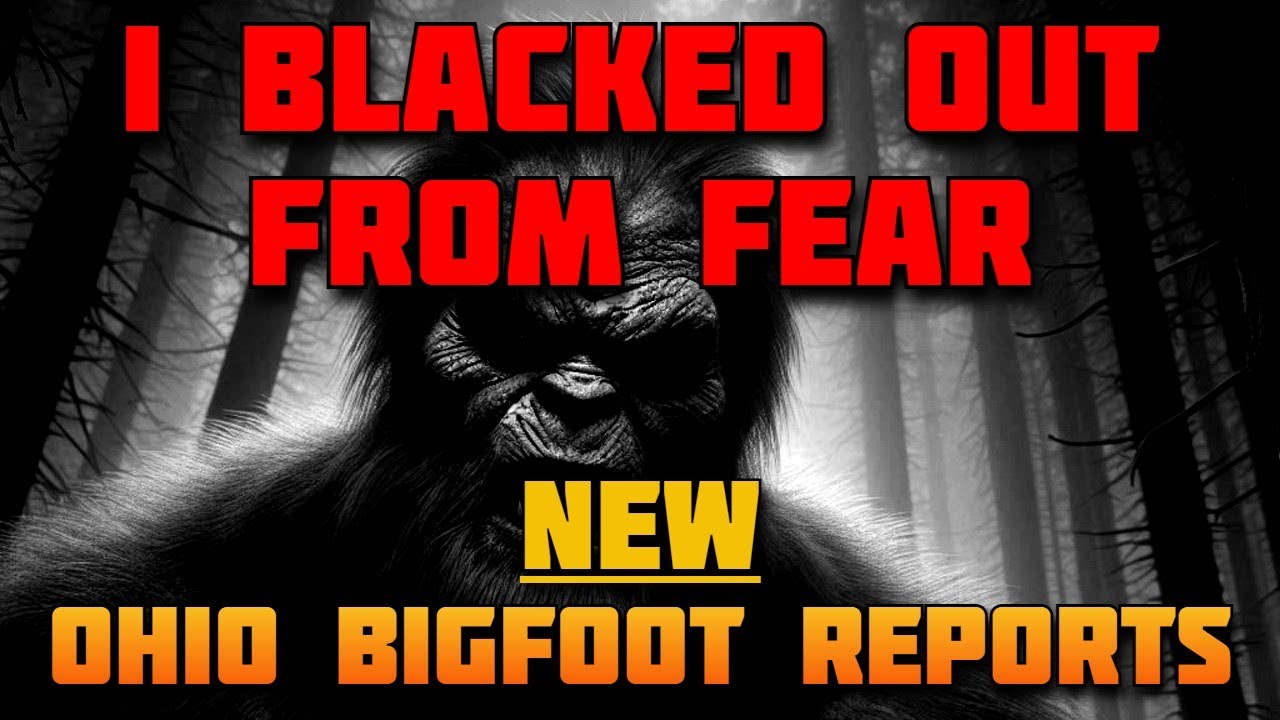 BIGFOOT CASE FILES