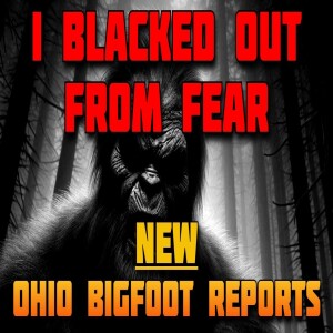 I BLACKED OUT FROM FEAR - NEW BIGFOOT REPORTS FROM OHIO