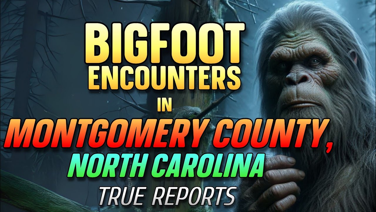 BIGFOOT CASE FILES