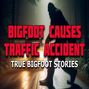 BIGFOOT CAUSES A TRAFFIC ACCIDENT - PLUS MORE TRUE INCREDIBLE BIGFOOT STORIES