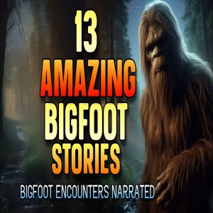 13 AMAZING BIGFOOT STORIES - BIGFOOT ENCOUNTERS NARRATED