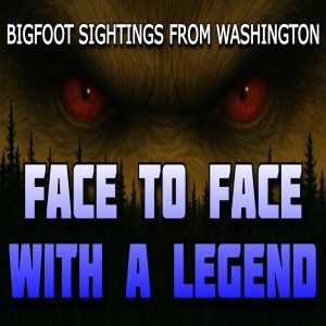 Face to Face With a Legend: Bigfoot Sightings From Washington