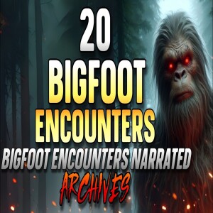 20 BIGFOOT ENCOUNTERS – Bigfoot Encounters Narrated Archives