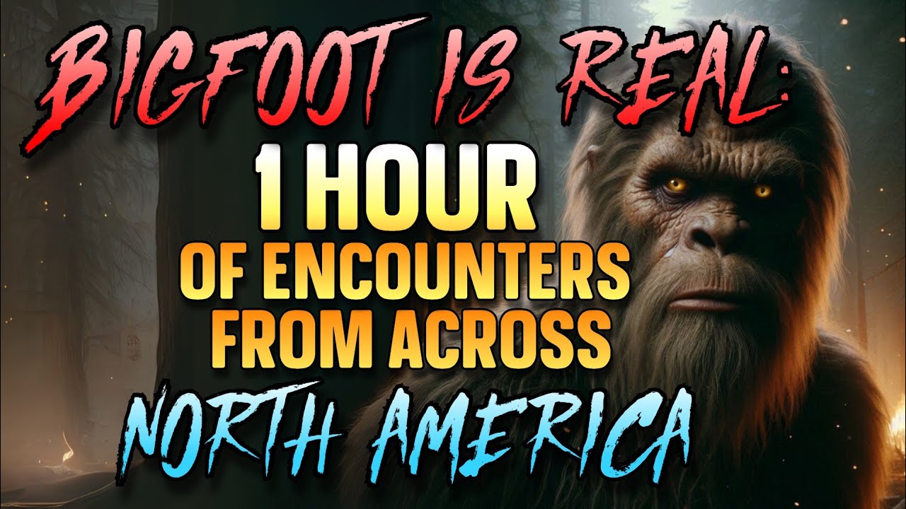 BIGFOOT CASE FILES