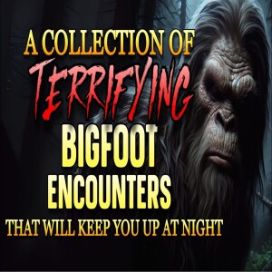 A COLLECTION OF TERRIFYING BIGFOOT ENCOUNTERS THAT WILL KEEP YOU UP AT NIGHT